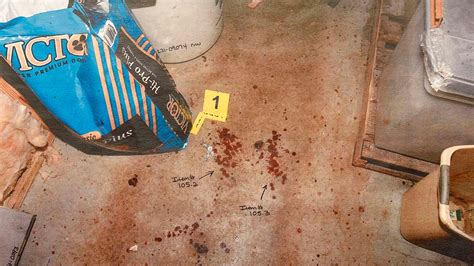 murdaugh murder pics|Photo Gallery: See evidence photos from Alex Murdaughs。